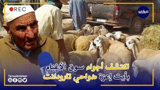 اكتشف أجواء سوق الأغنام بأيت إعزة ضواحي تارودانت