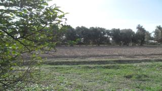 تارودانت.. “جنان السرغيني” بحي بلاقشاش: آخر حصون الطبيعة والشاهد عليها