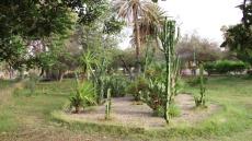 حديقة "إبراهيم الروداني" بتارودانت.. متنفس إيكولوجي لسكان المدينة في فصل الصيف