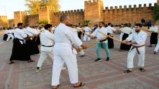تارودانت.. تنظيم تدريب وطني في رياضة "الايكيبودو والكاتوري شيتوريو"
