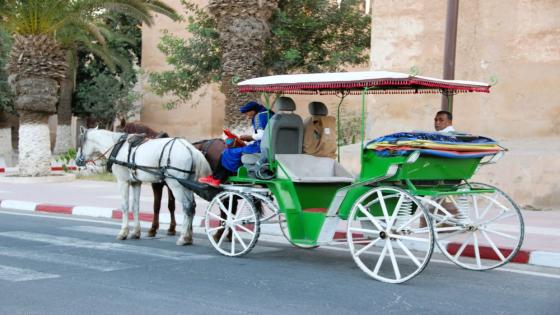 عربات "الكوتشي" بتارودانت.. دليل لاكتشاف التراث الثقافي والسياحي للمدينة