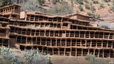 تارودانت.. النحل يهجر أقدم مزرعة تقليدية لتربيته بالعالم