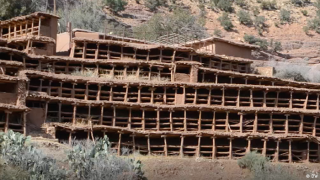 تارودانت.. النحل يهجر أقدم مزرعة تقليدية لتربيته بالعالم
