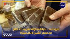 تارودانت.. إحباط محاولة تهريب 40 كلغ من مخدر الشيرا داخل سيارة