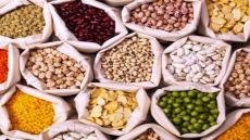 سوس ماسة.. أسعار البيع بالتقسيط للحبوب والقطاني