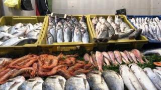 سوس ماسة.. أسعار البيع بالتقسيط للأسماك