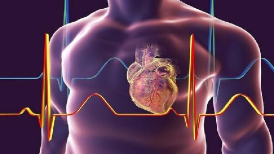 باحثون يطورون رقاقات قابلة للزرع لعلاج قصور القلب