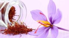 تالوين تحتضن الدورة الخامسة عشرة للمهرجان الدولي للزعفران من 7 إلى 10 نونبر الجاري