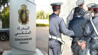 تارودانت.. توقيف أمريكيين بسبب محاولة تهريب مستحاثات أثرية تعود لملايين السنين