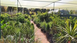 مشاتل سرية تهدد المستهلك والبيئة… المرصد المغربي يحذر من فوضى تنمو في الظل!