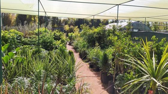 مشاتل سرية تهدد المستهلك والبيئة… المرصد المغربي يحذر من فوضى تنمو في الظل!